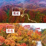 西安周边丨自驾秦岭红叶秘境,畅玩多彩之秋