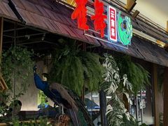 -雀舞云南菜(天津天河城购物中心店)