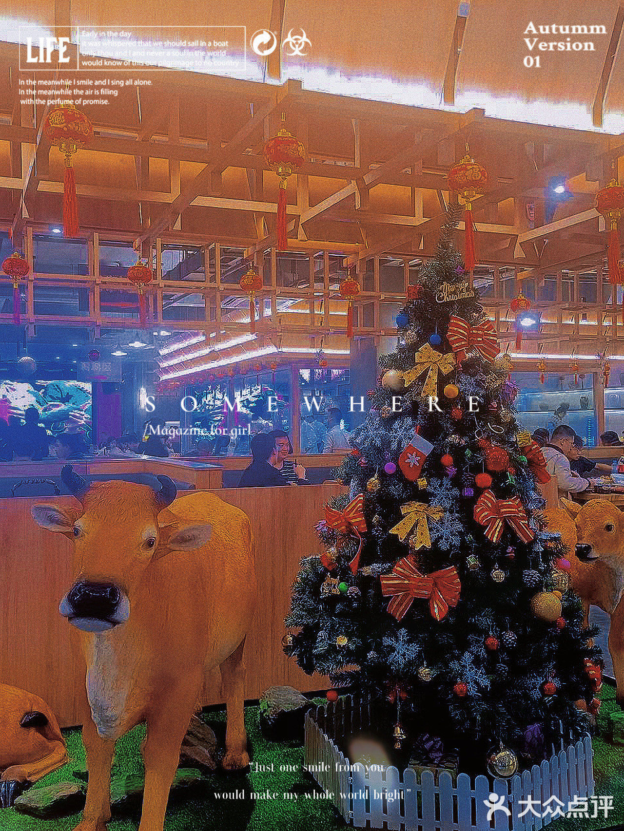 南昌美食|超赞的牛肉火锅店按头安利 