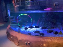 -沈阳海洋探索中心