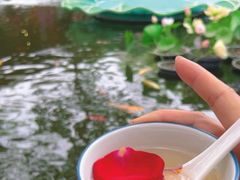 -白家大院·王府宫廷菜(苏州街店)