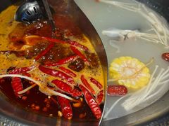 -辣伍鲜毛肚老火锅(元一店)