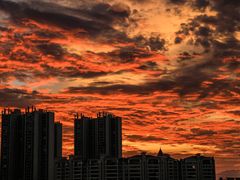 -三水森林公园