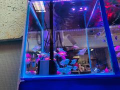 -三旗百汇商品城