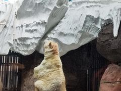 -海合安武汉极地海洋公园