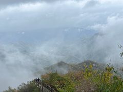 -大岭沟猕猴桃谷风景区