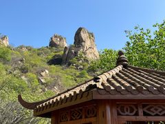 -大岭沟猕猴桃谷风景区