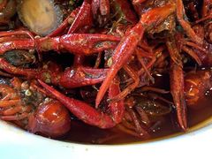 -霸王虾·麻辣小龙虾(清水河公园店)