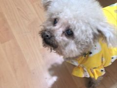 -乐宠宠物店(世纪金源店)