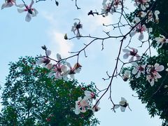 -重庆彩云湖湿地公园