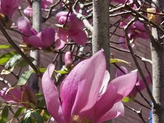 -首都医科大学附属北京友谊医院(西城院区)