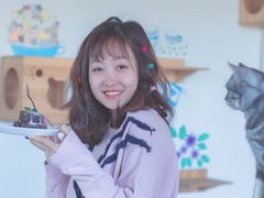-猫的茶·猫咖