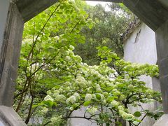 -惠山古镇·寄畅园