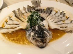 -稻香酒家·35年老字号(侨光店)