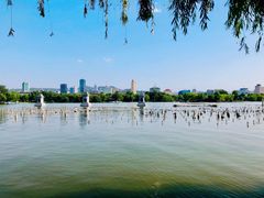 -济南大明湖景区