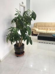 -荟草堂痘肌修护中心