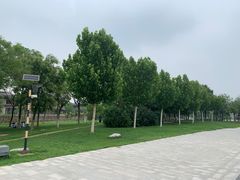-武清南湖绿博园