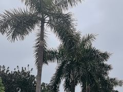 -广州市白云山风景名胜区