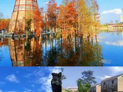 -山水茶艺馆·点心粤菜·30年老字号