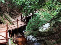 -波尔登森林公园