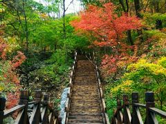 -天女山森林公园