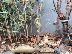 -后海16号·北京私房菜