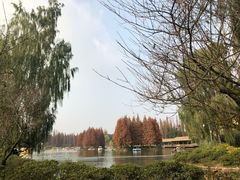 -秀丽东方