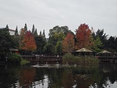 -成飞公园