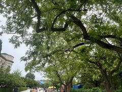 -旅顺博物馆
