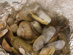 贝类汗蒸-渔娘渔家丹东海鲜(东直门店)