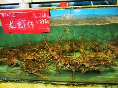 -旺富东海大酒楼(海鲜街店)