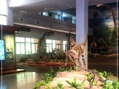 -自贡恐龙博物馆