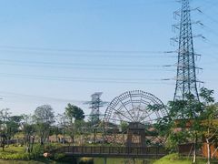 -王借岗森林公园