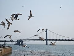 -星海广场