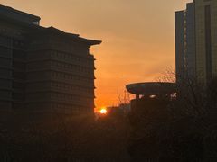 -德福楼咖啡吧(德福巷店)