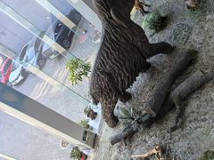 -中国第四纪冰川遗迹陈列馆