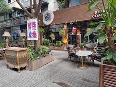 -泡桐树街