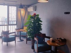 -梵猫·新养生(湛江鼎盛店)
