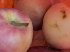 -百果园(新港中路店)