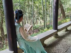 -严子陵钓台(富春江小三峡)