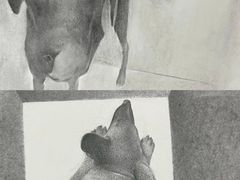 -陕西省美术博物馆