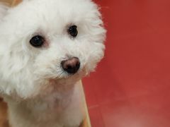 -和它·交个朋友·狗咖猫咖(爱琴海店)