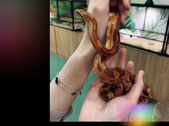 -藦茜花园宠物主题亲子互动体验馆(国顺东路店)
