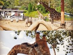 -大连森林动物园