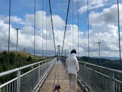 -龙里油画大草原旅游区