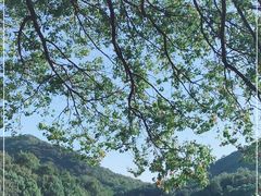 -白马涧龙池景区