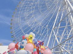 -南昌之星摩天轮