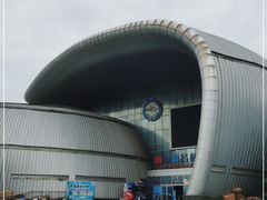 -烟台海昌鲸鲨海洋公园