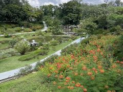 -东莞植物园