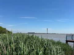 -吴淞炮台湾湿地森林公园烧烤区